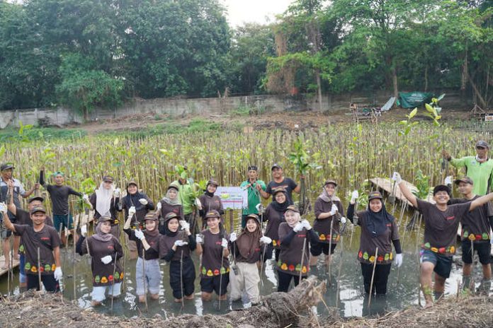 PT Pigeon Indonesia melaksanakan program CSR dengan menanam 1.000 pohon mangrove di Pantai Indah Kapuk pada 29 Juni 2024.